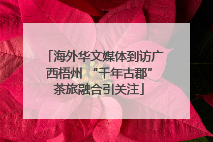 海外华文媒体到访广西梧州 “千年古郡”茶旅融合引关注